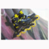 Ролики Rollerblade Fury black-yellow 29-33